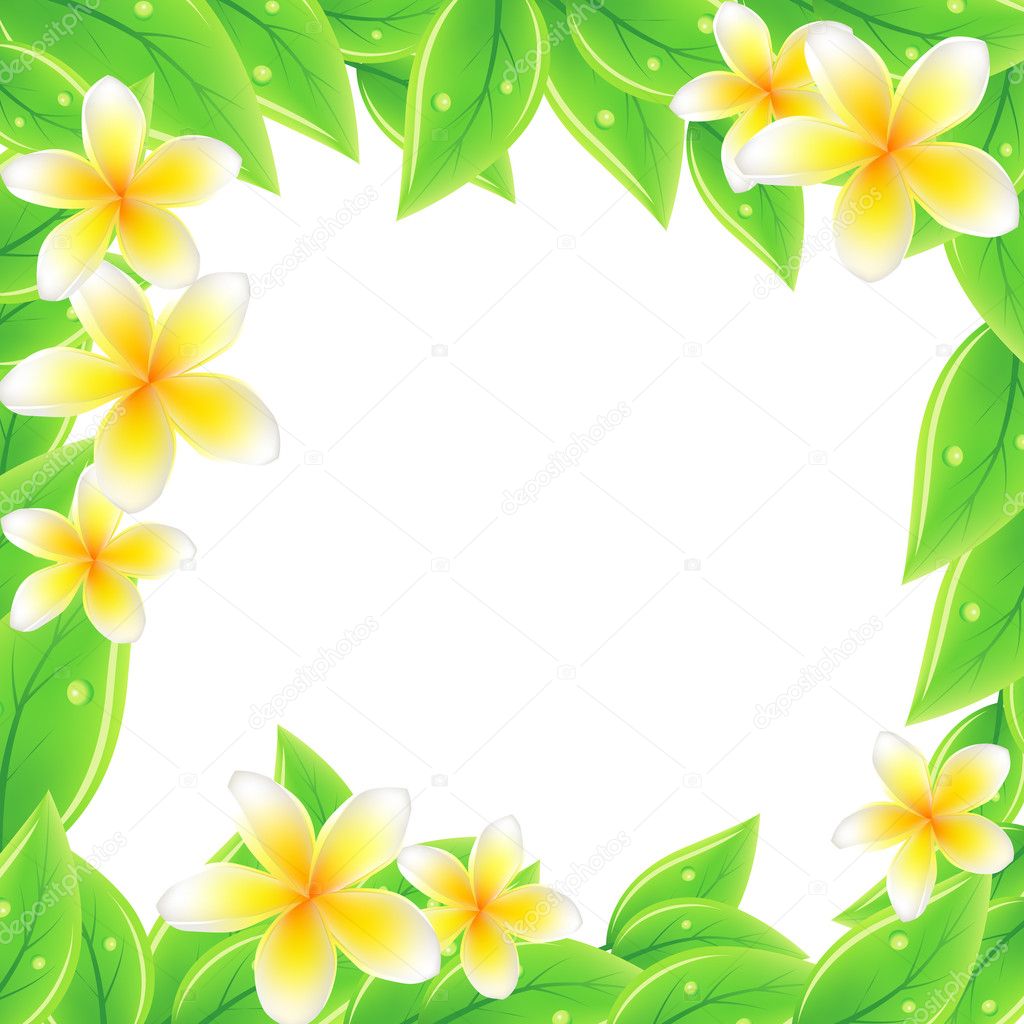 Frame with fresh green leaves and white flowers