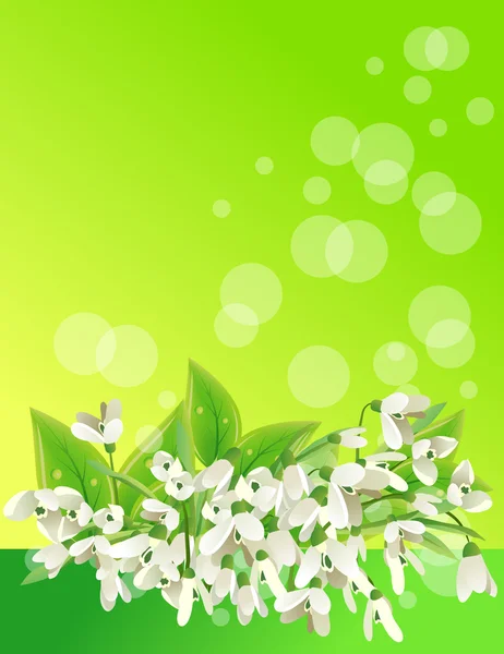 Mooie Achtergrond Met Groene Bladeren Bloeiende Tak — Stockvector