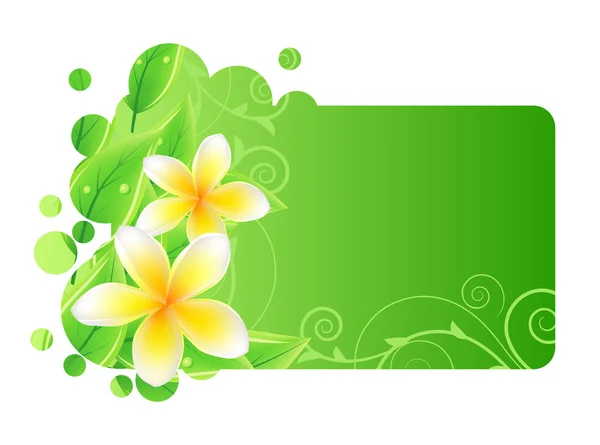 Frame met groene bladeren en frangipani — Stockvector