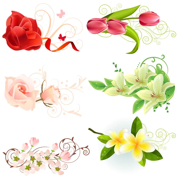 Farklı Güzel Çiçek Tasarım Öğeleri Kümesi — Stok Vektör