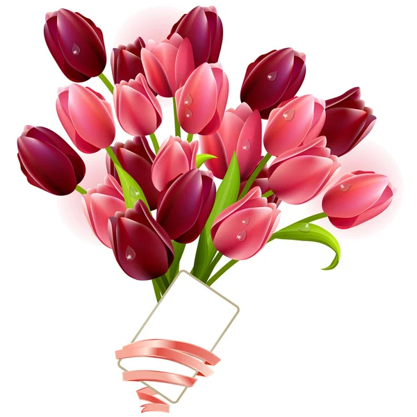Um bando de tulipas —  Vetores de Stock