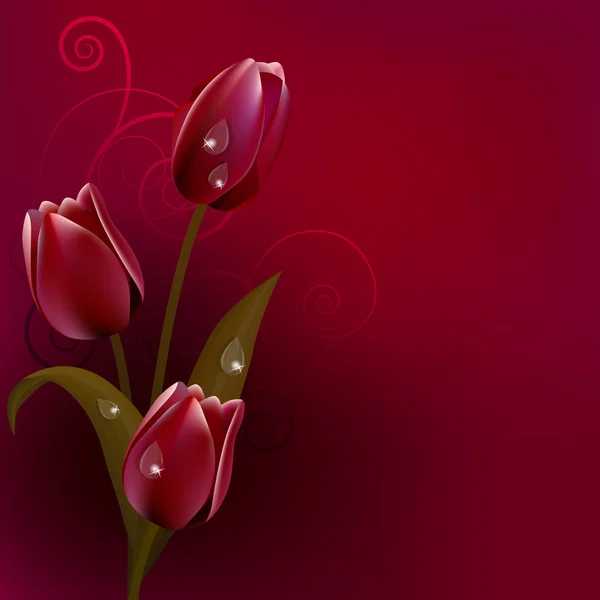 Sfondo rosso scuro con tulipani — Vettoriale Stock