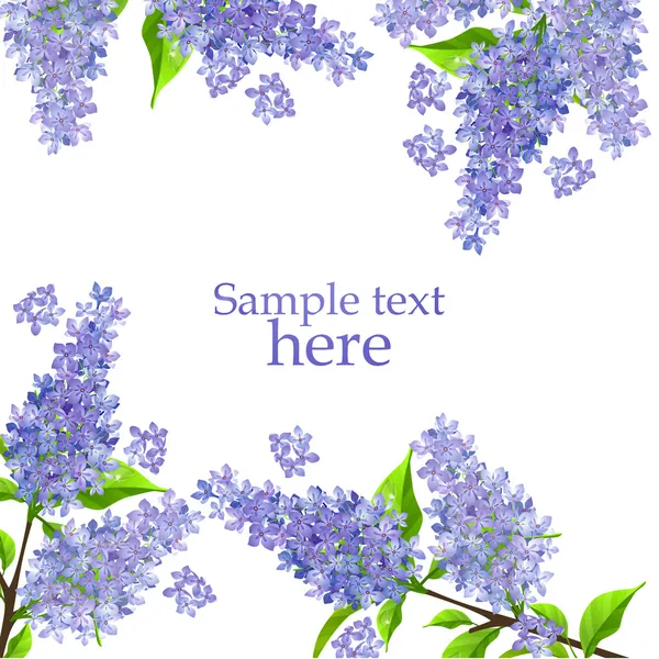 Branche lilas en fleurs — Image vectorielle