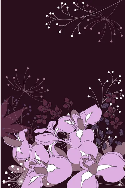 Fond Floral Foncé Avec Iris Contour Plantes — Image vectorielle
