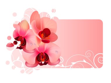 Ornate frame with orchid pink flowers clipart