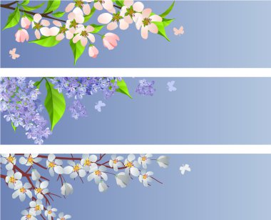 Set of blossoming branches clipart