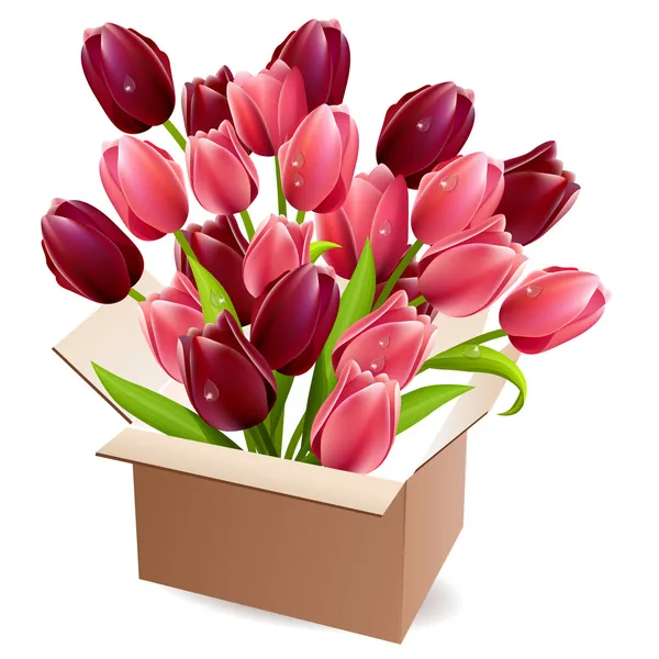 Otevřená Krabice Plná Červených Fialových Tulipánů — Stockový vektor