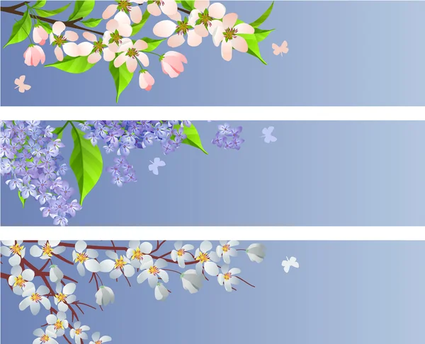 Conjunto de ramas florecientes — Archivo Imágenes Vectoriales
