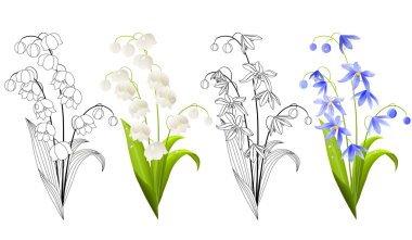 Collection of spring flowers clipart