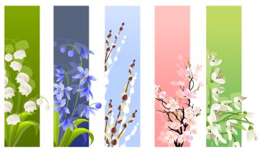 Collection of spring flowers