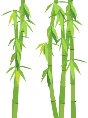 Green bamboo clipart