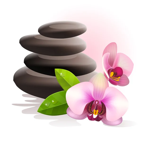 Spa Piedras y orquídea — Vector de stock