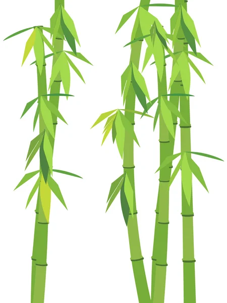 Bambú verde — Archivo Imágenes Vectoriales