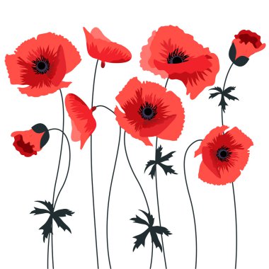 Red poppy clipart