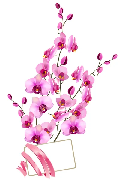 Bunch of pink orchids — Stock Vector