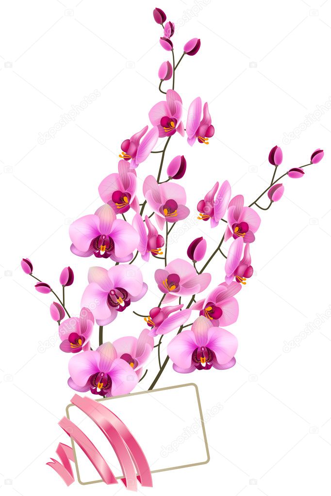 Bunch of pink orchids