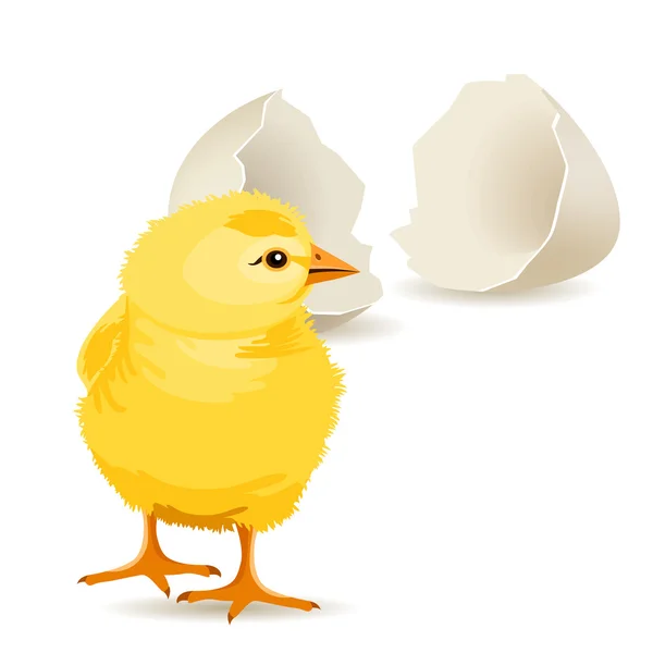 작은 노란색 닭고기 — 스톡 벡터
