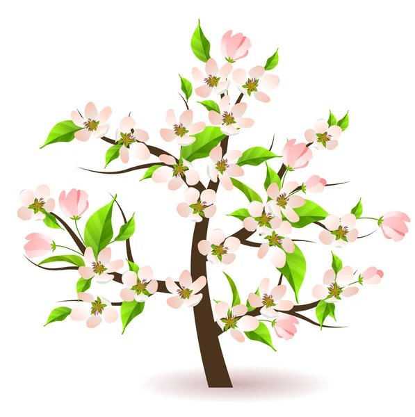 Bolssoming appelboom — Stockvector