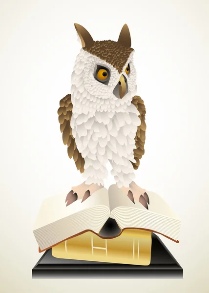 猫头鹰和书籍 — 图库矢量图片