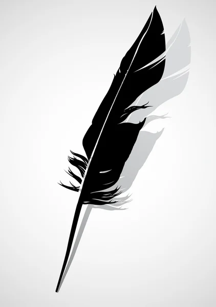 Plume noire — Image vectorielle