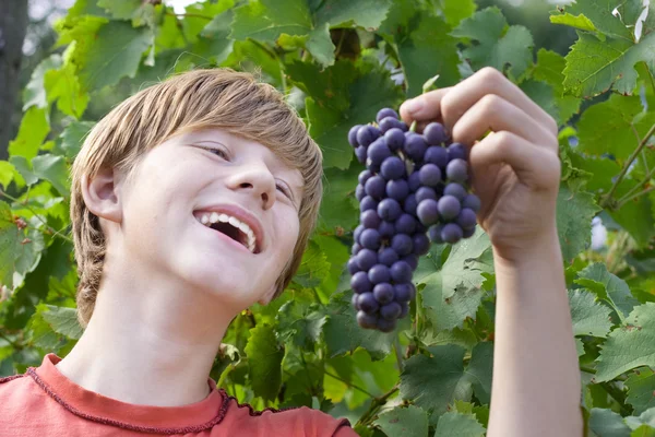 Jongen met druivenmost — Stockfoto