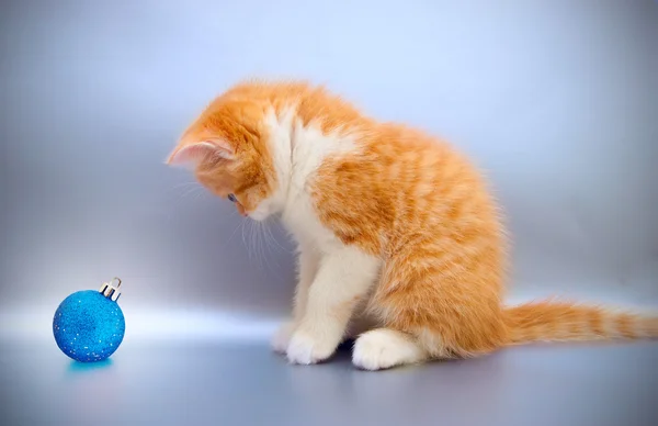Хороший рыжий котенок с рождественской игрушкой — стоковое фото