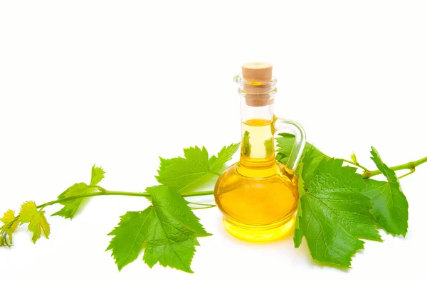 Jug with oil and a grapevine — Stock Photo, Image