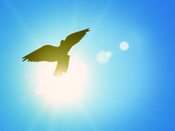 Duva mot den blå himlen och en skinande sol — Stockfoto