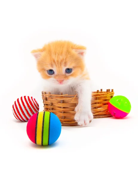Gatito rojo en una cesta de mimbre con bolas multicolores — Foto de Stock
