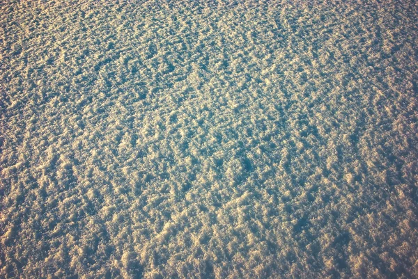Snow 2010 — Stock Photo, Image