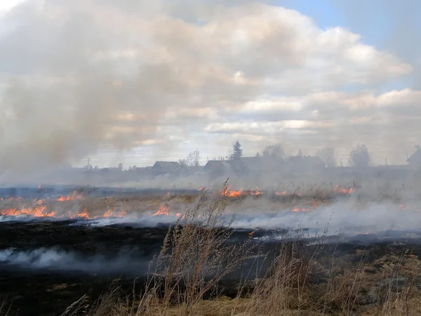 stock image Grassland Fire