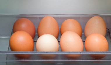 Eggs In Refrigerator