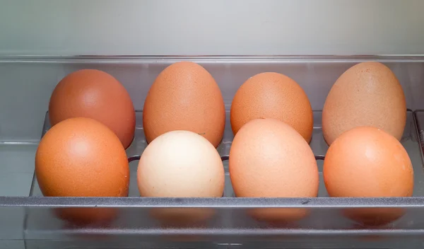 stock image Eggs In Refrigerator