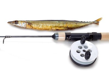 bir olta takımı needlefish yakalandı