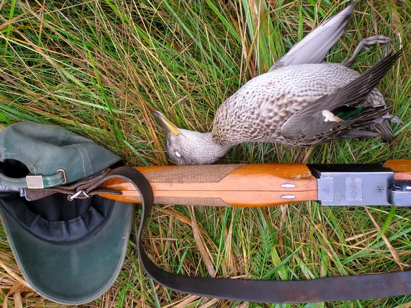 Jagd auf eine Ente — Stockfoto