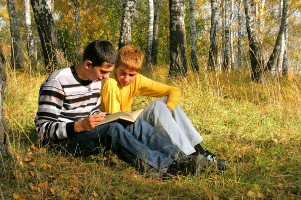 Meninos de leitura — Fotografia de Stock