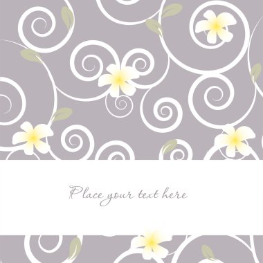 Loral card with white frangipani flowers clipart