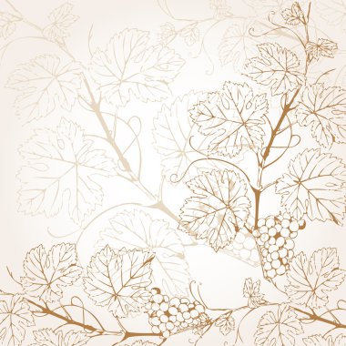 Vintage vector illustration with grape branch clipart
