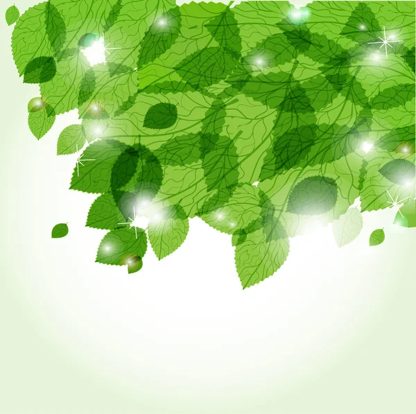 Feuilles et lumières vertes fraîches. Fond vectoriel écologique — Image vectorielle