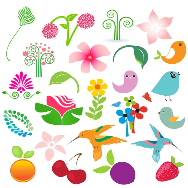Grandes elementos vectoriales establecidos. Aves, frutas y flores para su diseño — Archivo Imágenes Vectoriales
