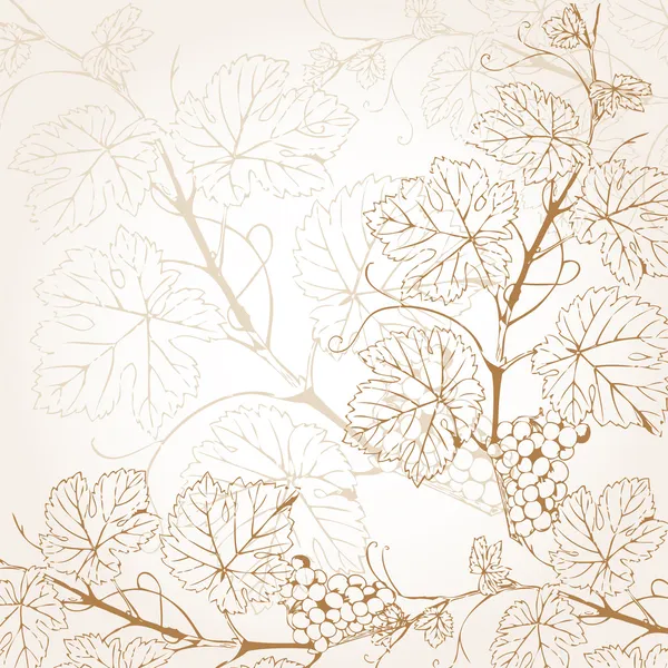 ブドウの枝とヴィンテージベクトルイラスト — ストックベクタ