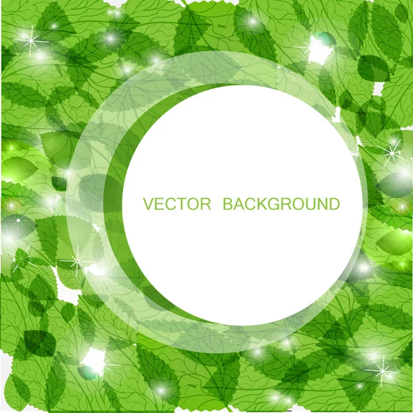 Hojas verdes frescas y luces. Fondo de vector ecológico — Vector de stock