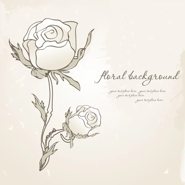 手描きのバラとビンテージ背景 — ストックベクタ