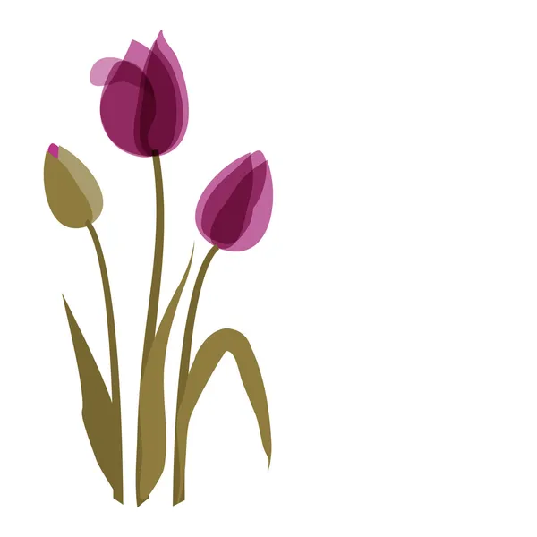 Violett tulip på den vita bakgrunden — Stock vektor