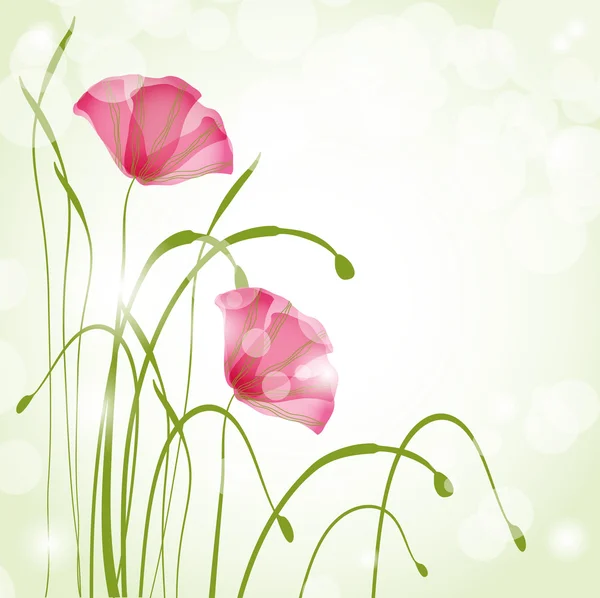 Tarjeta de primavera con amapolas —  Fotos de Stock