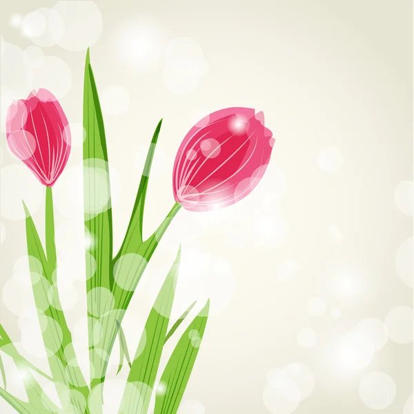 Spring postcard with flowers — Stock Photo, Image