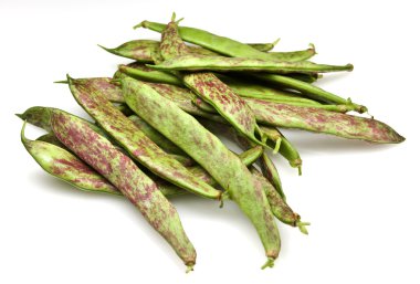 borlotti taze fasulye