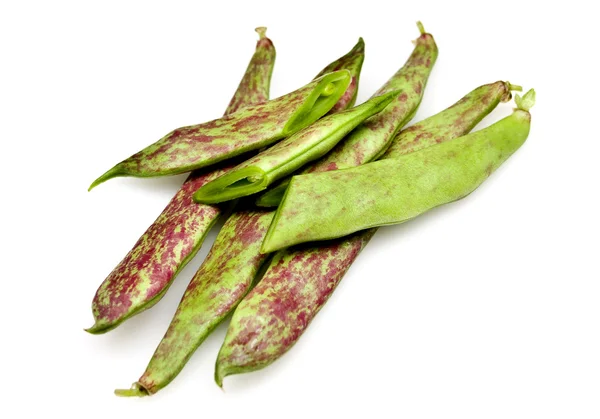 Fresh Borlotti Beans — Stock Photo, Image