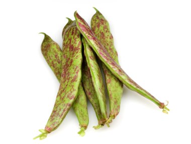 borlotti taze fasulye