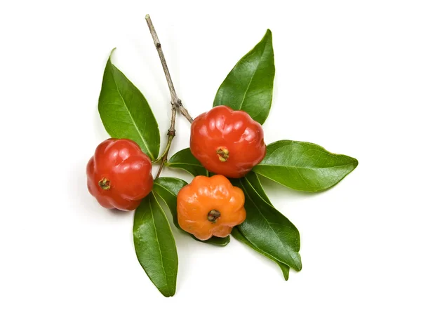 Brazilian Cherry - Pitanga — Stock Photo, Image